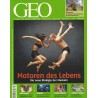 Geo Nr. 7 / Juli 2009 - Motoren des Lebens