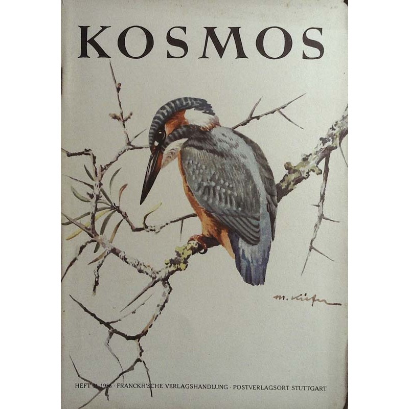 KOSMOS Heft 11 November 1956 - Eisvogel