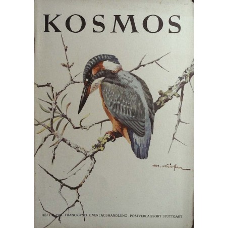 KOSMOS Heft 11 November 1956 - Eisvogel