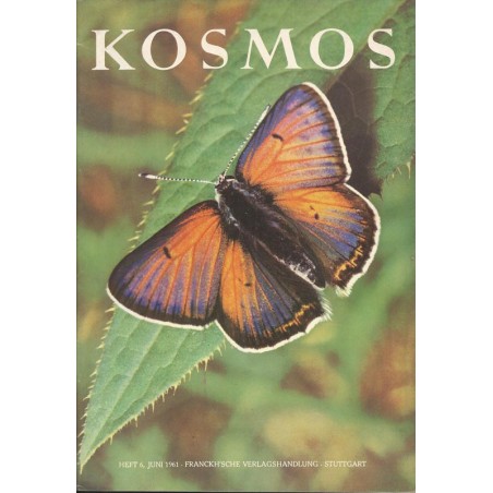 KOSMOS Heft 6 Juni 1961 - Kleiner Ampferfeuerfalter