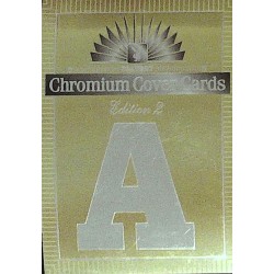 Playboy Chromium Cover Cards Ed. 2 | No.187 | May 1989 | A