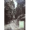 Unser Wald Nr.9 / September 1962 - Pilze sammeln
