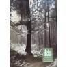 Unser Wald Nr.7/8 / August 1954 - Tief im Wald