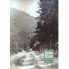Unser Wald Nr.9 / September 1954 - Der Weg in den Wald