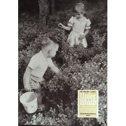 Unser Wald Nr.7 / Juli 1964 - Kinder im Gebüsch