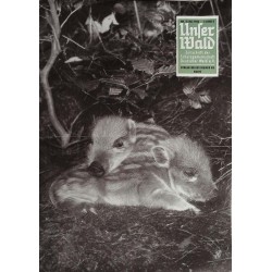 Unser Wald Nr.5 / Mai 1964 - Frischlinge am ausruhen