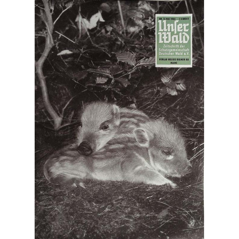 Unser Wald Nr.5 / Mai 1964 - Frischlinge am ausruhen