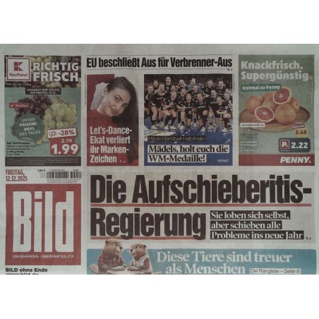 Bild Zeitung Freitag, 12 Dezember 2025 - Die Aufschieberitis-Regierung