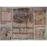 Bildzeitung Freitag, 14 August 2026 - Riesen-Hai aus Ostsee!