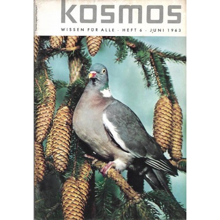 KOSMOS Heft 6 Juni 1963 - Die Ringeltaube