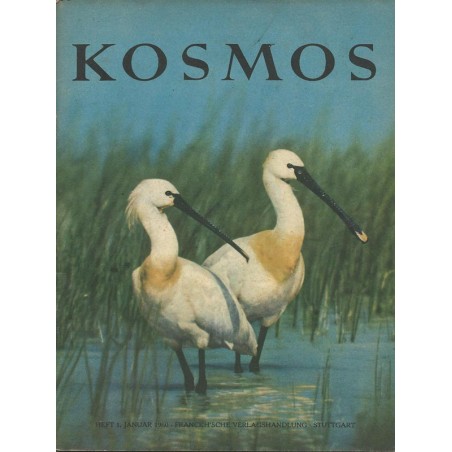 KOSMOS Heft 1 Januar 1960 - Löffler
