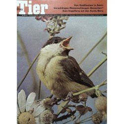 Das Tier Nr.5 / Mai 1965 - Kohlmeise