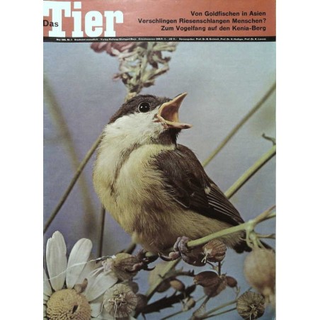 Das Tier Nr.5 / Mai 1965 - Kohlmeise
