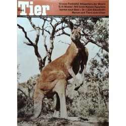Das Tier Nr.6 / Juni 1965 - Rotes Riesenkänguruh
