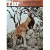 Das Tier Nr.6 / Juni 1965 - Rotes Riesenkänguruh