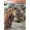 Das Tier Nr.4 / April 1966 - Sumatra Tiger