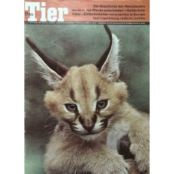 Das Tier Nr.8 / August 1963 - Wüstenluchs