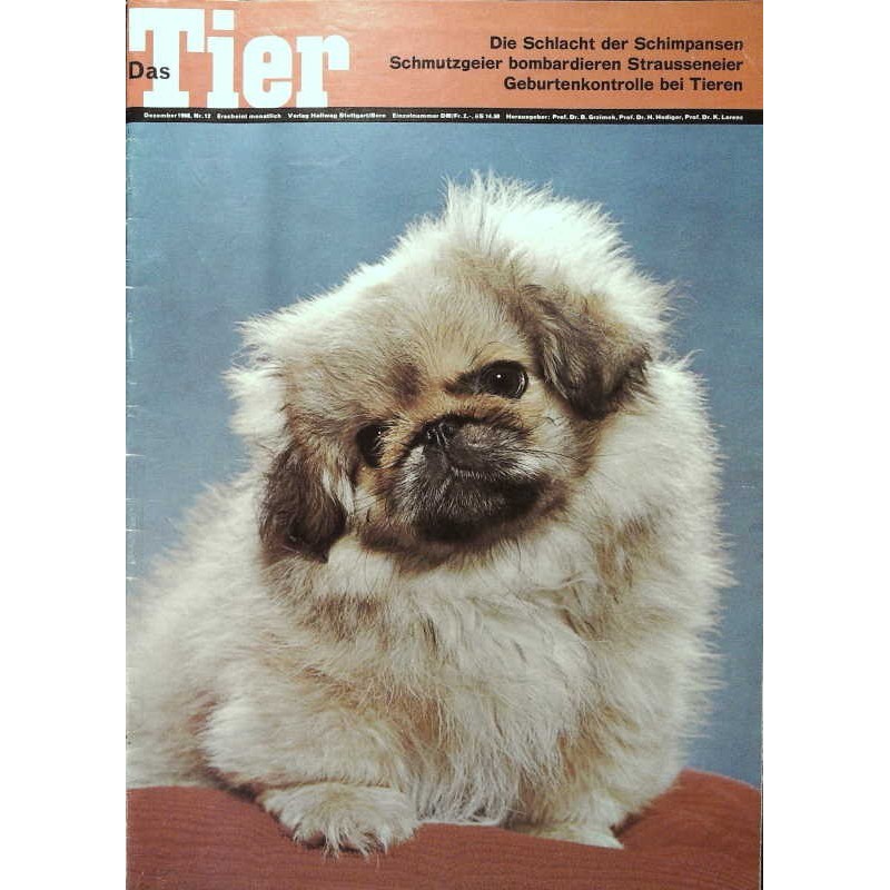 Das Tier Nr.12 / Dezember 1968 - Junger Pekinese