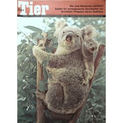Das Tier Nr.3 / März 1968 - Koalamutter mit Kind