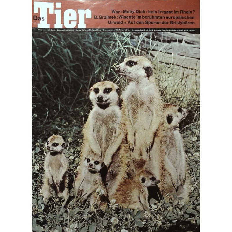 Das Tier Nr.12 / Dezember 1967 - Erdmännchen