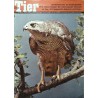 Das Tier Nr.5 / Mai 1968 - Habicht