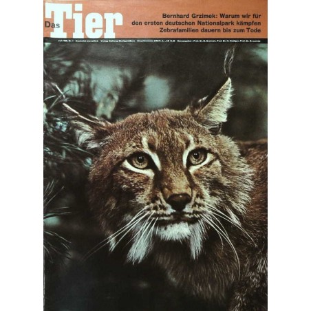 Das Tier Nr.7 / Juli 1968 - Luchs