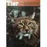 Das Tier Nr.7 / Juli 1968 - Luchs
