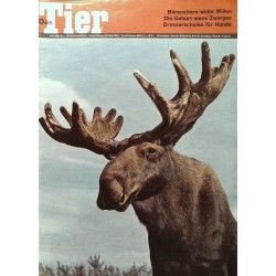 Das Tier Nr.4 / April 1964 - Elch