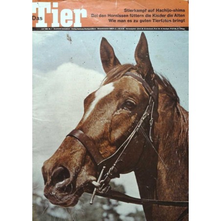 Das Tier Nr.7 / Juli 1969 - Hauspferd