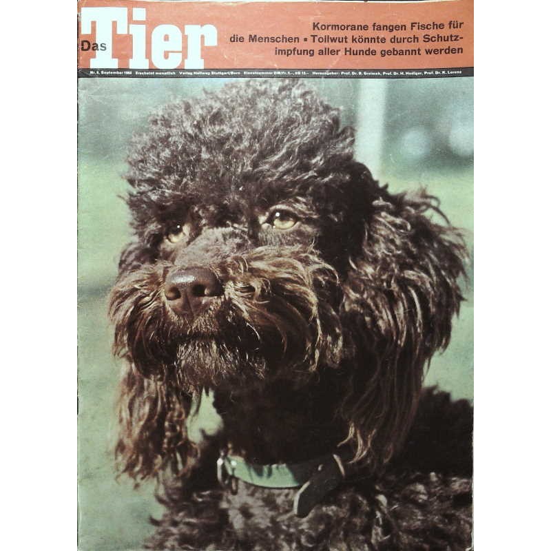 Das Tier Nr.9 / September 1963 - Brauner Pudel