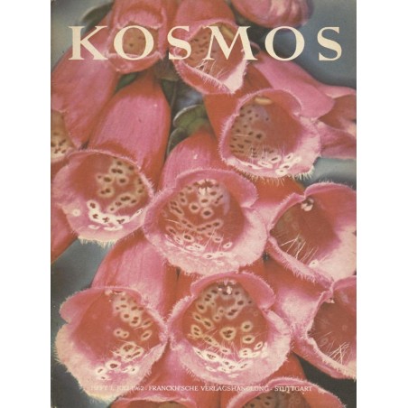 KOSMOS Heft 7 Juli 1962 - Roter Fingerhut