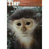 Das Tier Nr.9 / September 1968 - Kleideraffe