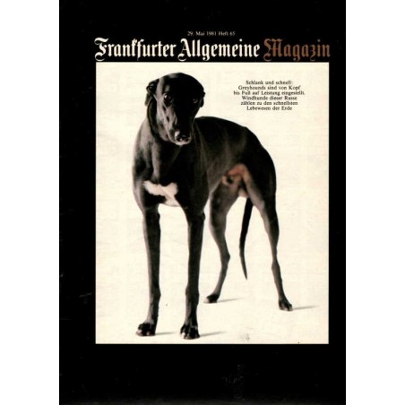 Frankfurter Allgemeine Heft 65 / Mai 1981 - Greyhounds